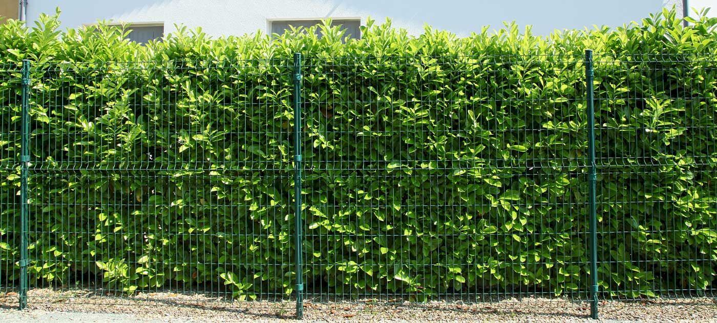 Clôture grillagée